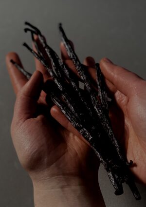 IMG_5537 2 Vanille Bourbon – Sélection Gourmet – 15–16 cm