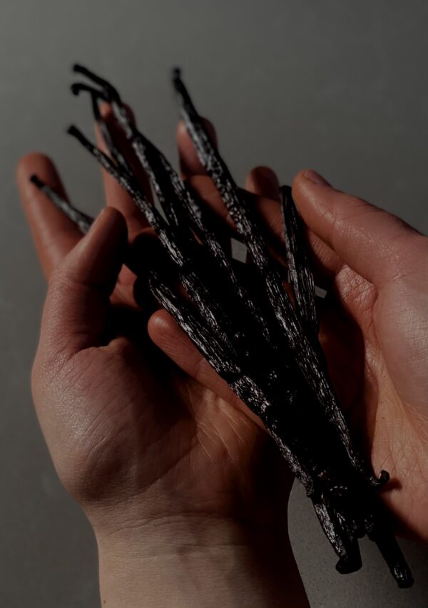 IMG_5537 2 Vanille Bourbon – Sélection Gourmet – 15–16 cm