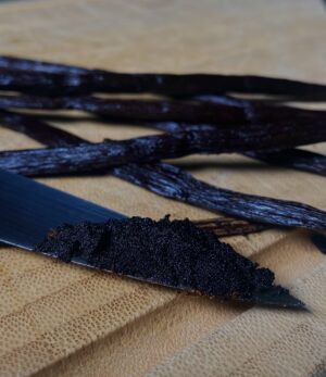 IMG_5567 Vanille Bourbon – Sélection Gourmet – 17–18 cm